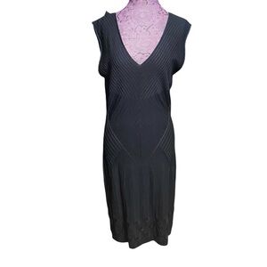 Max Studio Black V Neck Dress